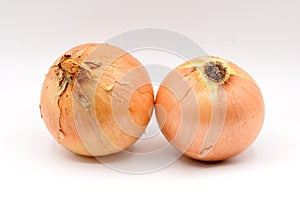 White Onions with Orange Skin on White