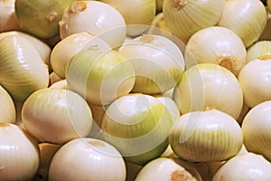 White onions for sale