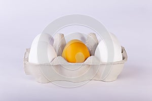White and orange eggs in cardboard packaging on plain background