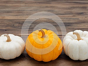 White and orange pumpkins put horizontally on dark wooden background