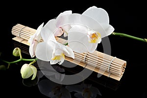 White orchid and bamboo mate