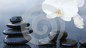White orchid flowers and black spa stones on the gray table background.