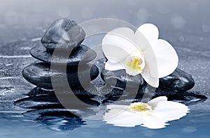 White orchid flowers reflected in the water. Spa background.