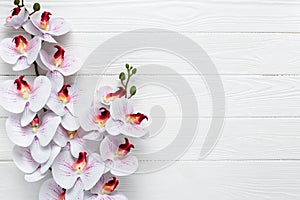 White orchid flowers on a wooden background. Floral frame border. Template with copy space. Romantic pattern with place for text.