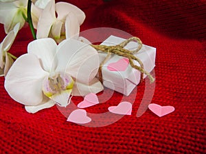 White orchid and gift box on a red background, Valentines Day background. Small paper hearts.