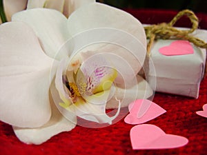 White orchid and gift box on a red background, Valentines Day background. Small paper hearts.