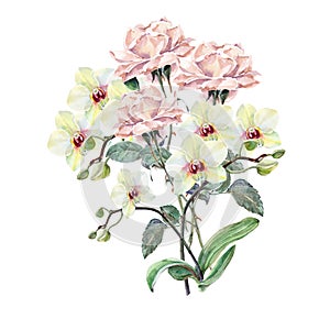 Bílý orchidej růžová růže květina na větev akvarel 