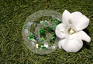 White orchid and precious heart