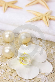 White orchid spa