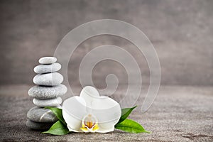 White orchid and spa stones on the grey background