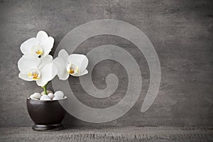 White orchid and spa stones on the grey background