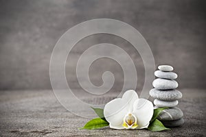 White orchid and spa stones on the grey background.