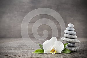 White orchid and spa stones on the grey background.