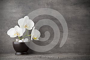 White orchid and spa stones on the grey background.