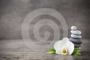 White orchid and spa stones on the grey background.