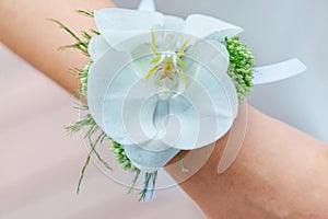 White Orchid Wrist Corsage