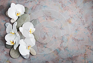 White orchids and massage stones