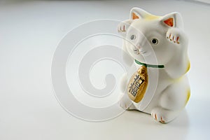 Bianco orientale gatto su bianco 
