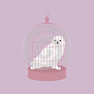 White owl on the cage.