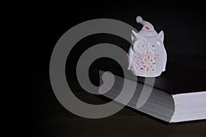 White Owl Statuette Nightlight With Red Lights On Old Book photo
