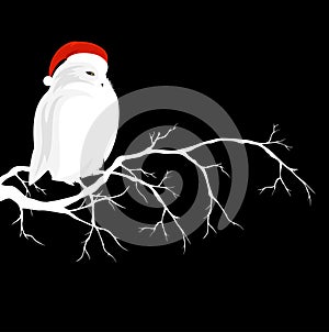 White owl wearing red christmas hat sitting on branch