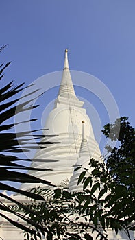 White Pagoda Bell Shape With Leaves