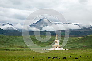 The white pagoda of Tibetan Buddhism on the grassland at the foot of the snow-capped mountains photo