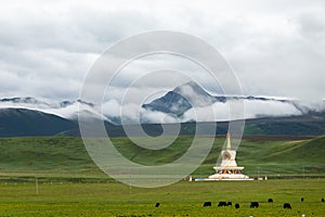 The white pagoda of Tibetan Buddhism on the grassland at the foot of the snow-capped mountains photo