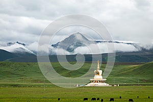 The white pagoda of Tibetan Buddhism on the grassland at the foot of the snow-capped mountains photo