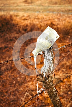 The white paint leaking from a plastic bottle infuses into a spile photo