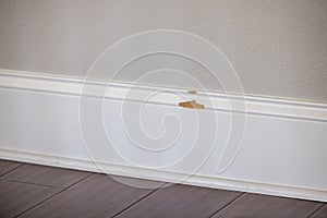 The white painted baseboard trim on a new construction house that has a broken chunk missing from the mdf material