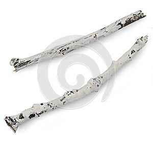 White painted branches