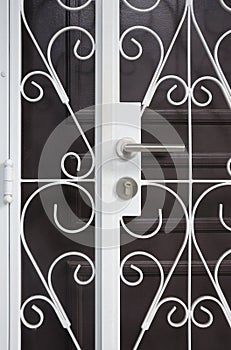 A white painted entrance metal gate in front of a dark brown painted door