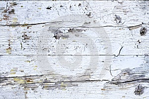 White painted old cracked wood background. Grungy and weathered white grey painted peeling wooden wall plank texture background