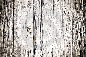 White painted old cracked wood background. Grungy and weathered white grey painted peeling wooden wall plank texture background