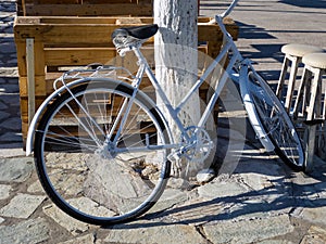 White Painted Pushbike photo