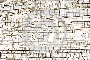 White painted wood with cracked finish photo