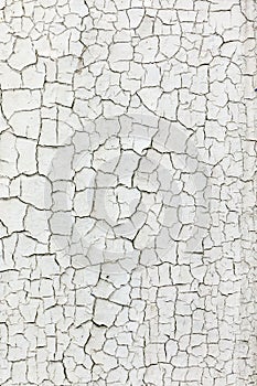 White painted wooden background with cracks