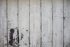White painted wooden board photo texture. Natural wood background. Distressed rough lumber board