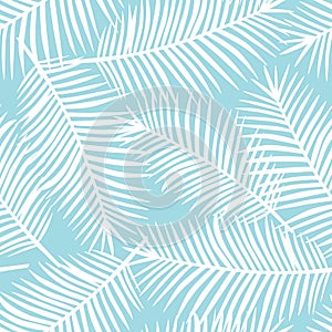 White palm leaves on a blue background exotic tropical hawaii se