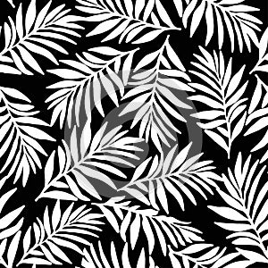 White palm leaves pattern on black background.