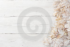 White pamle leaves, wooden background