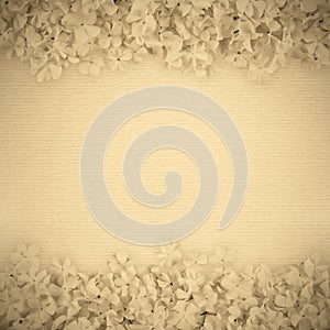 White paper background decorated with flowers on margins