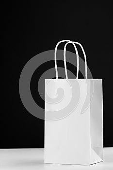 White paper bag with handles