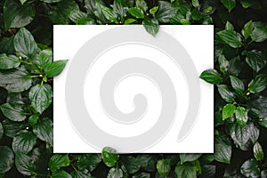 White paper card on flat lay green leaves texture top view background. Creative layout in nature concept