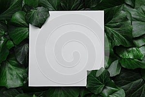 White paper card on green ivy leaves