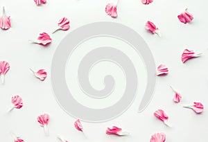 White paper card with petal flower on white background.Flat lay.