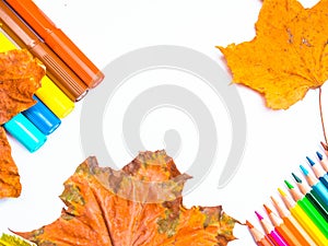 White paper with concept back to school with autumn dry leaves, markers and colorful pencils background