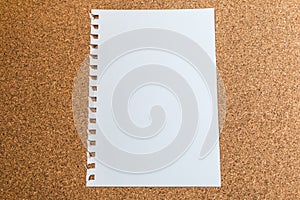 White paper on cork board