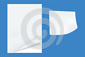 White paper with curled corner template as graphical element